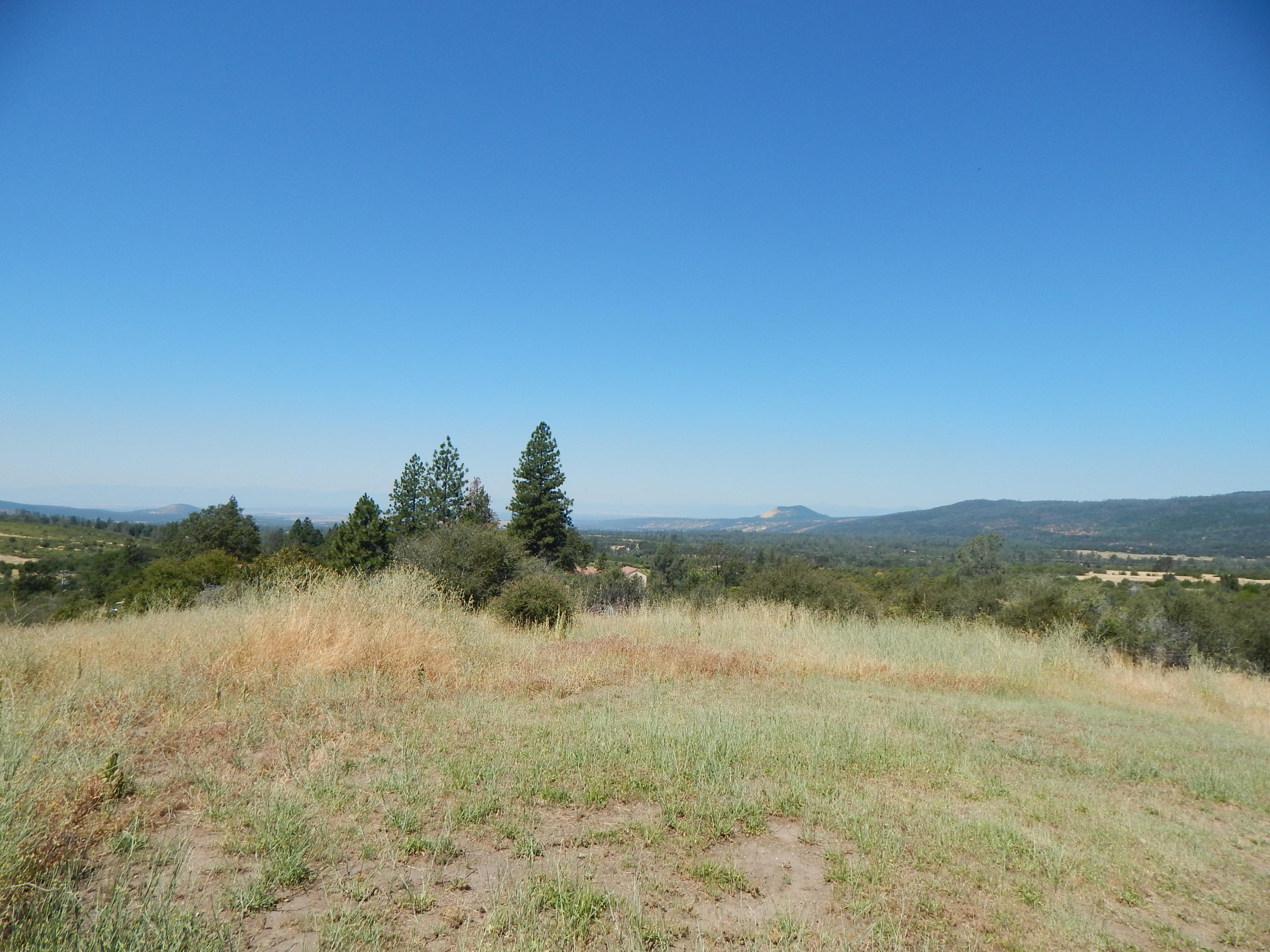 31820 Forward Road Manton, CA 96059 - Photo 85 of 95 DSCN6706