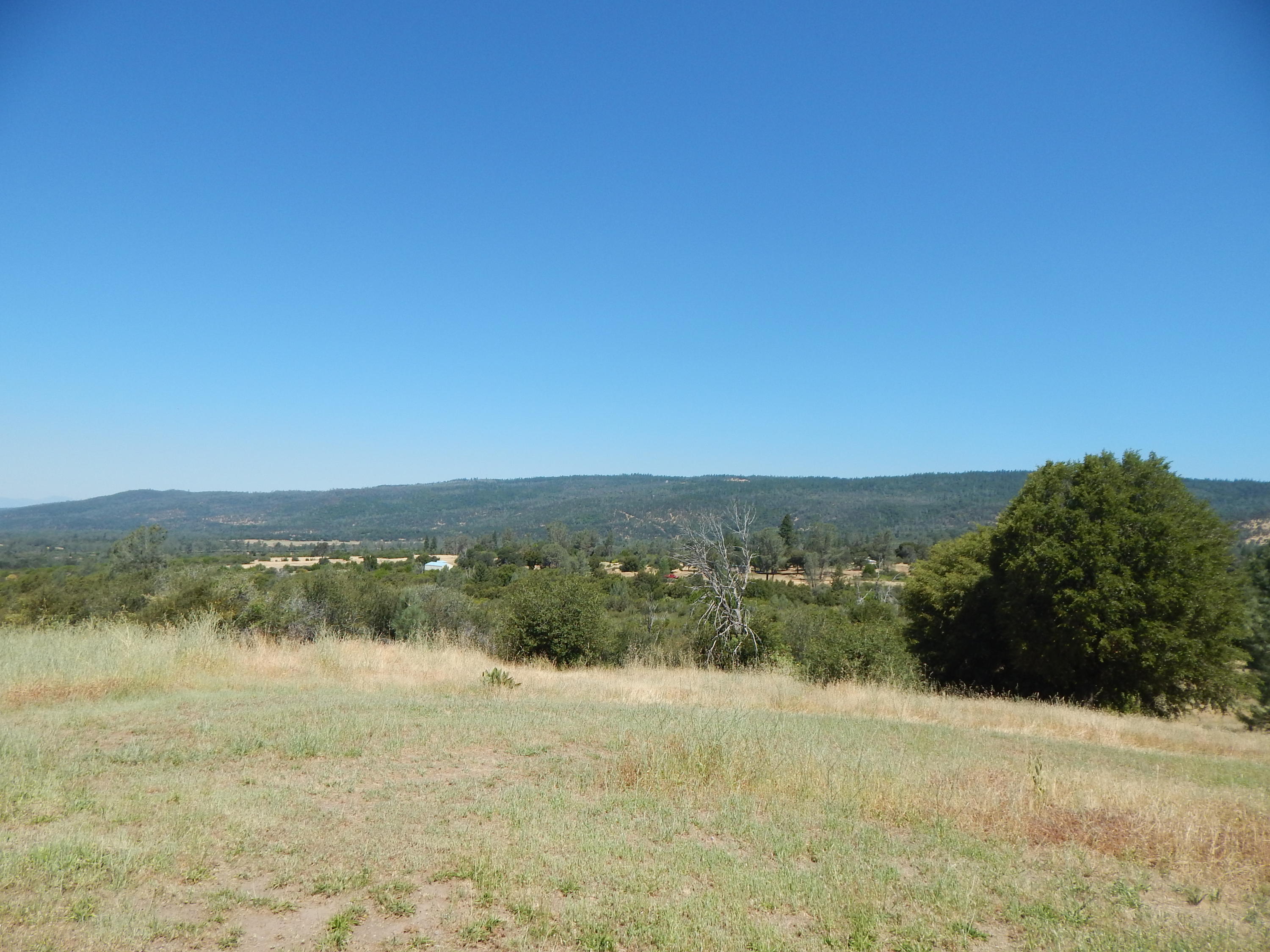 31820 Forward Road Manton, CA 96059 - Photo 87 of 95 DSCN6708