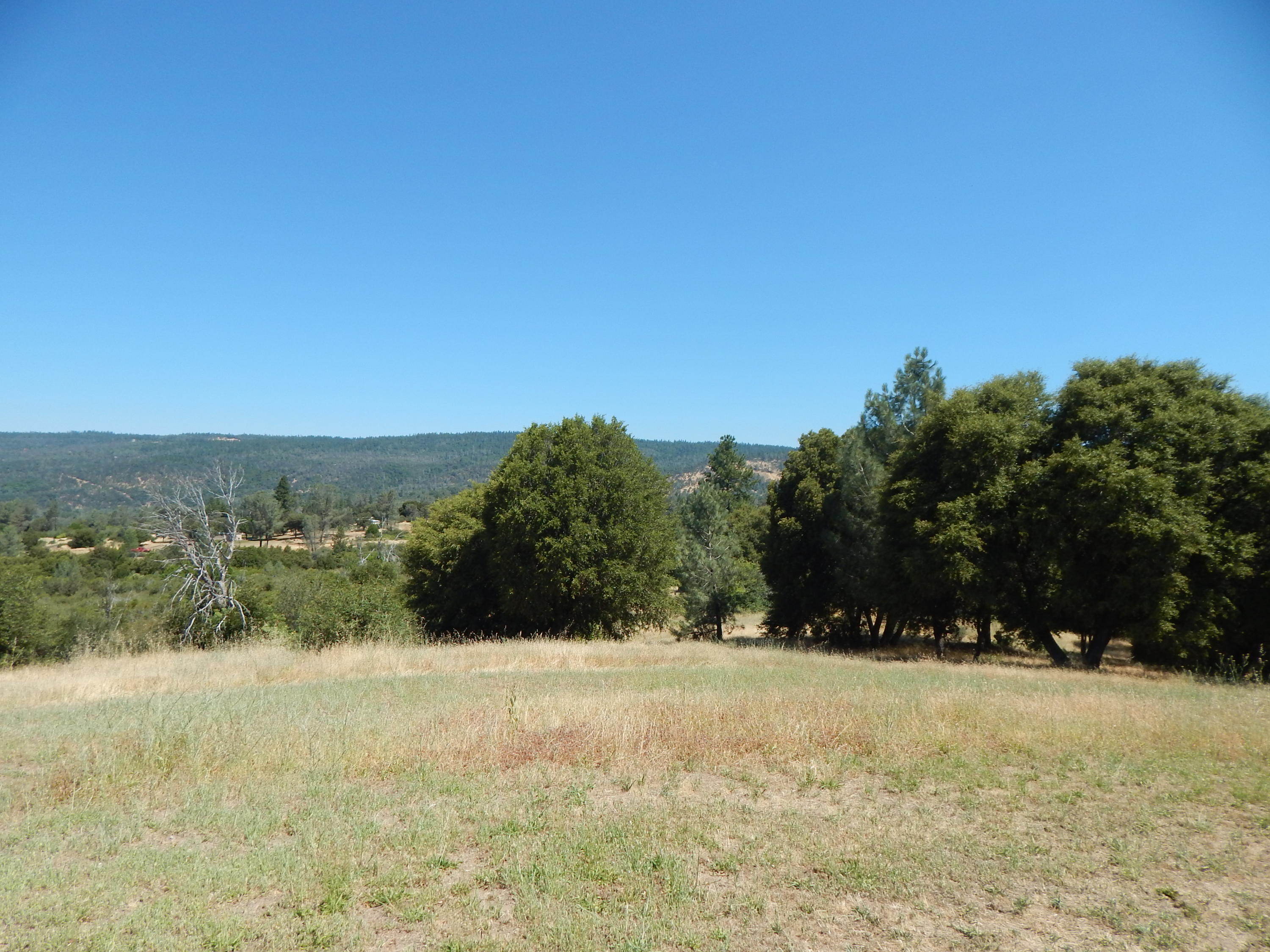 31820 Forward Road Manton, CA 96059 - Photo 88 of 95 DSCN6709