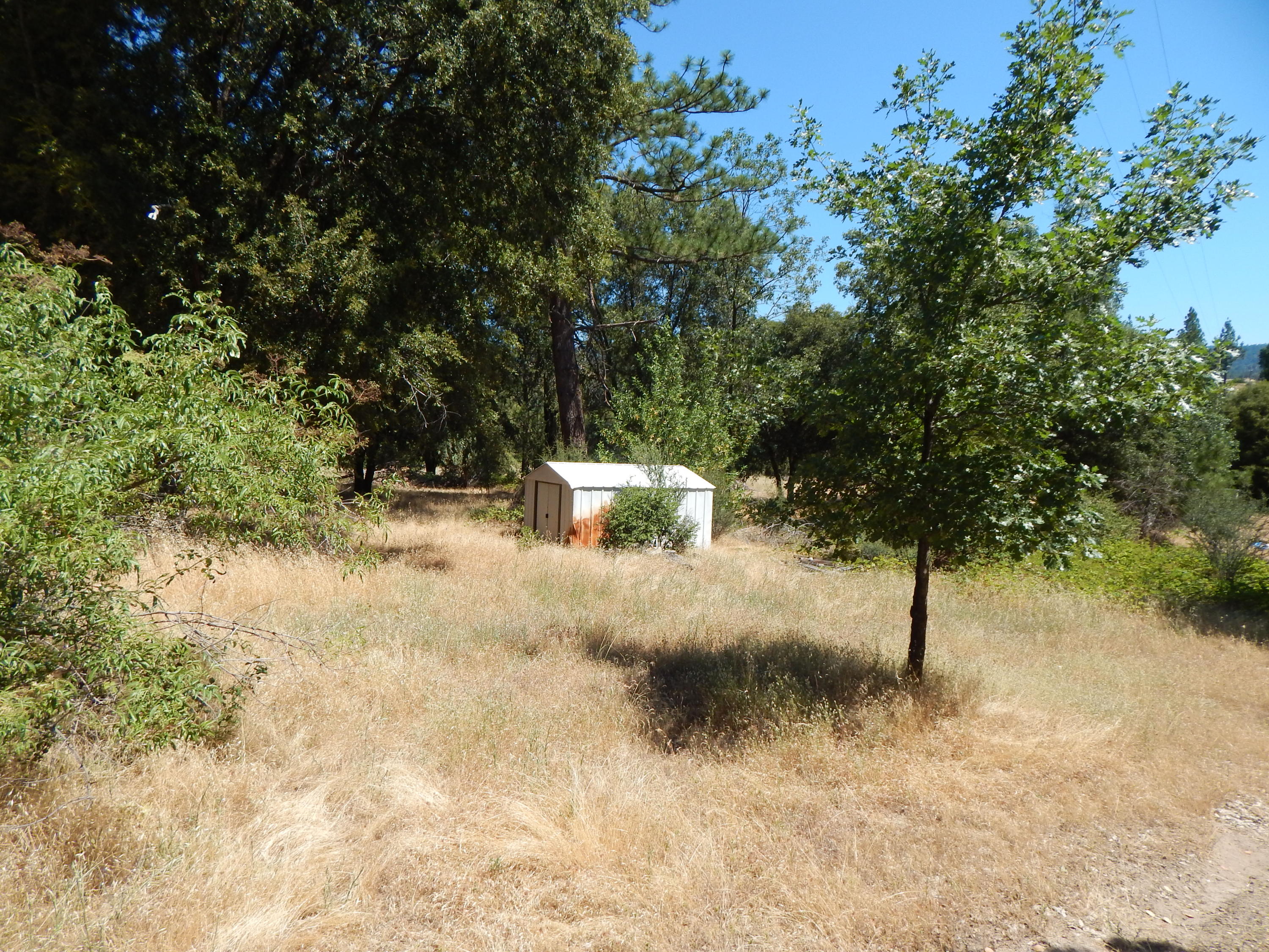 31820 Forward Road Manton, CA 96059 - Photo 92 of 95 DSCN6713
