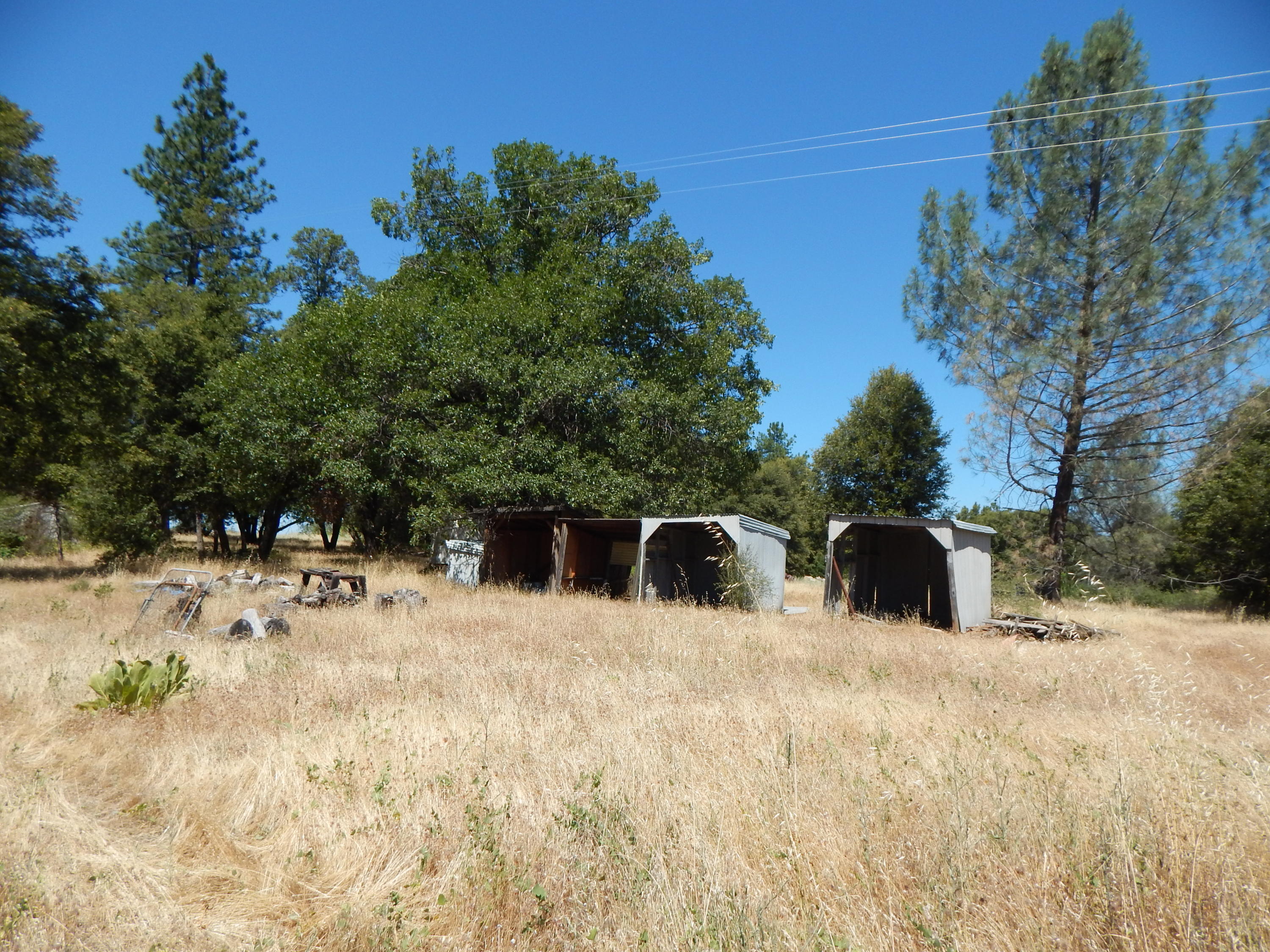 31820 Forward Road Manton, CA 96059 - Photo 93 of 95 DSCN6714