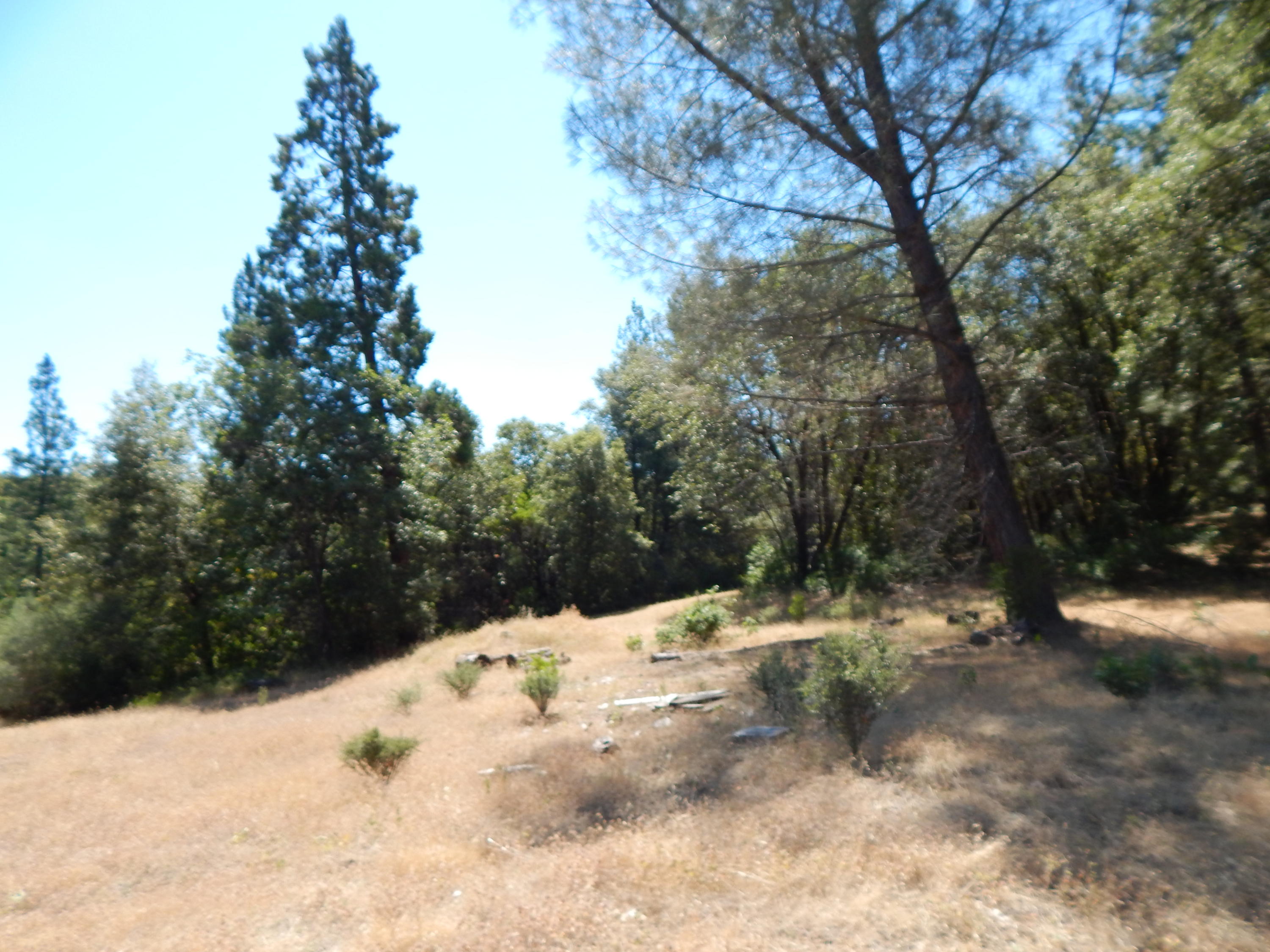 31820 Forward Road Manton, CA 96059 - Photo 94 of 95 DSCN6715