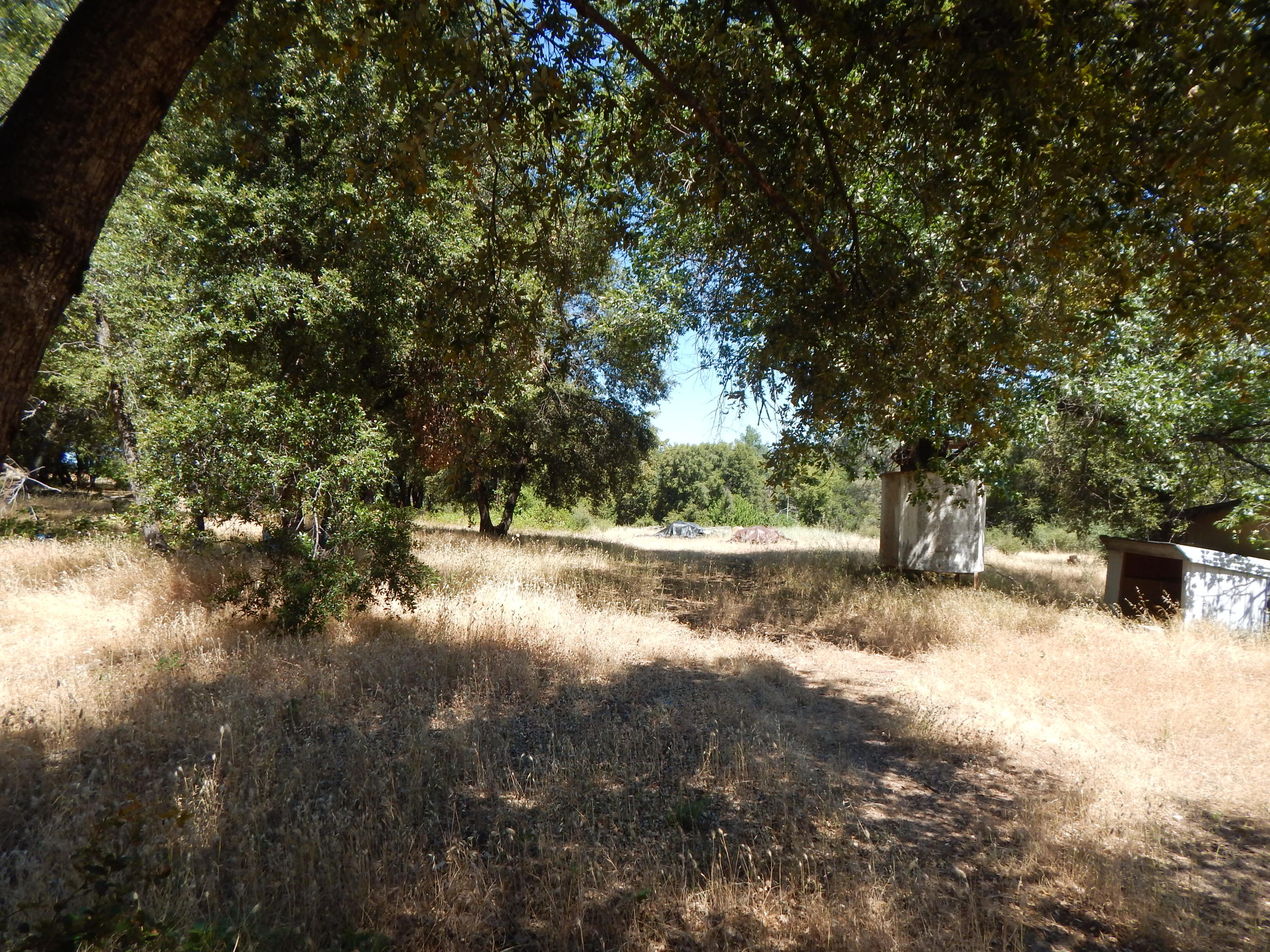 31820 Forward Road Manton, CA 96059 - Photo 95 of 95 DSCN6716