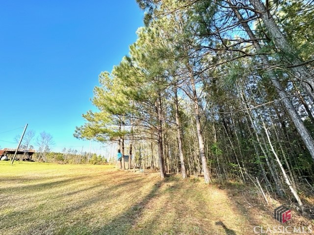1 Dora Bush Hill Road McRae-Helena, GA 31037 - Photo 24 of 32