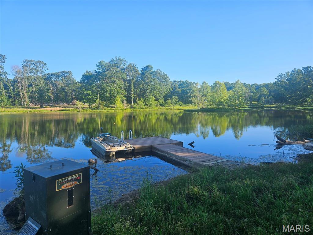 689 Ripley Route Gatewood, MO 63942 - Photo 41 of 48