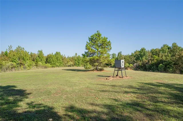 a view of a yard with trees