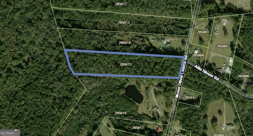 7.61 Mt Olivet Church Road Fleming, GA 31309 - Photo 1 of 1