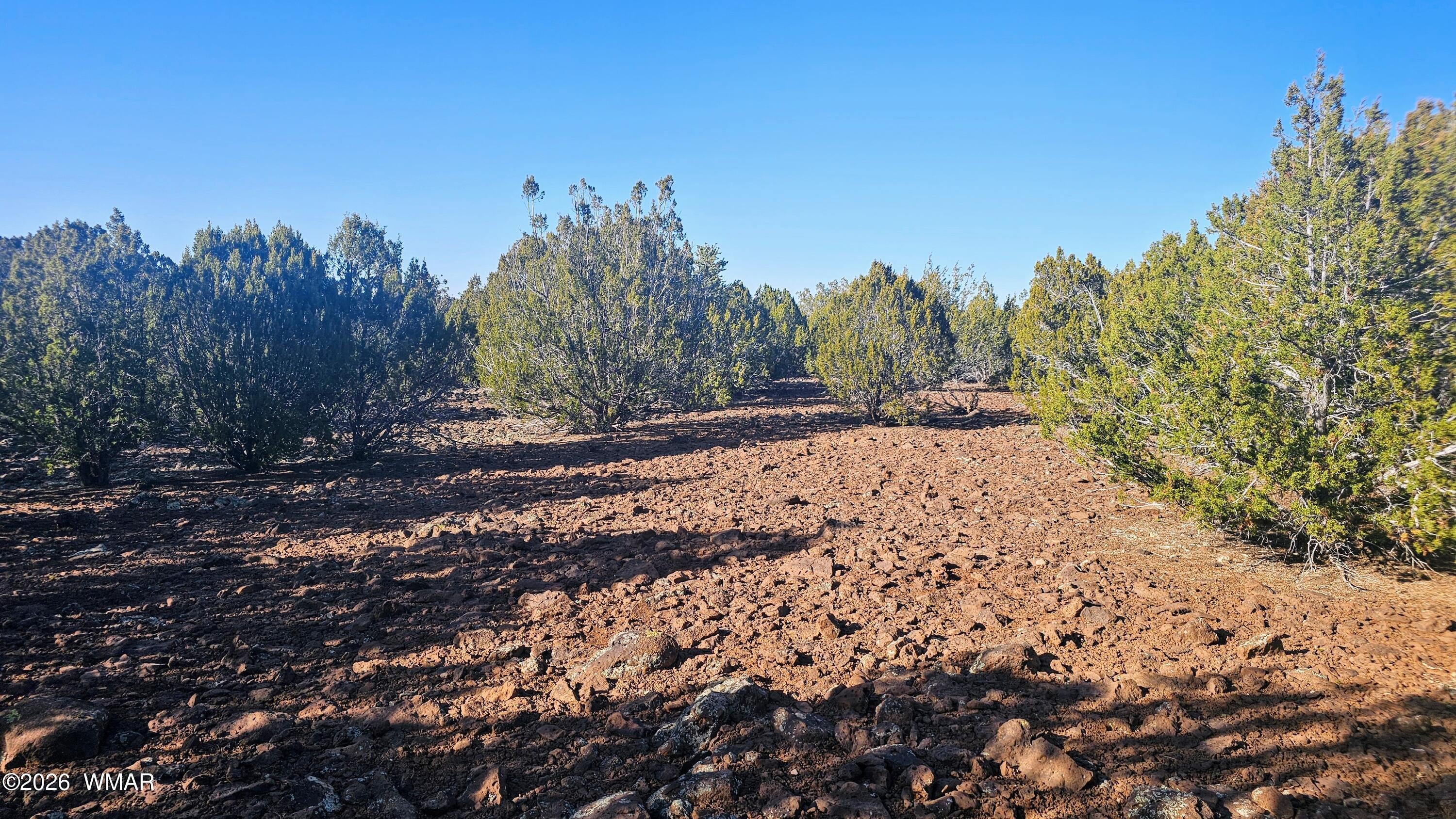 9383 Bald Eagle Road Show Low, AZ 85901 - Photo 21 of 29 Gallery Image 21