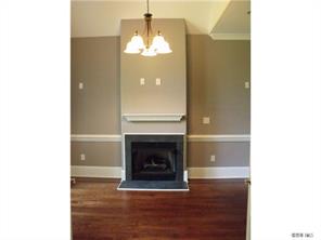 3200 Lake Shore Road South Denver, NC 28037 - Photo 5 of 16 a view of a livingroom with a fireplace