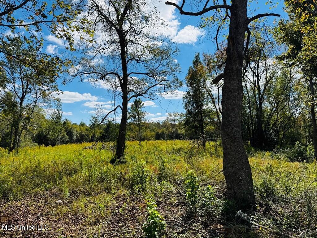 9 Rock Lane Carriere, MS 39426 - Photo 24 of 26 184065_26