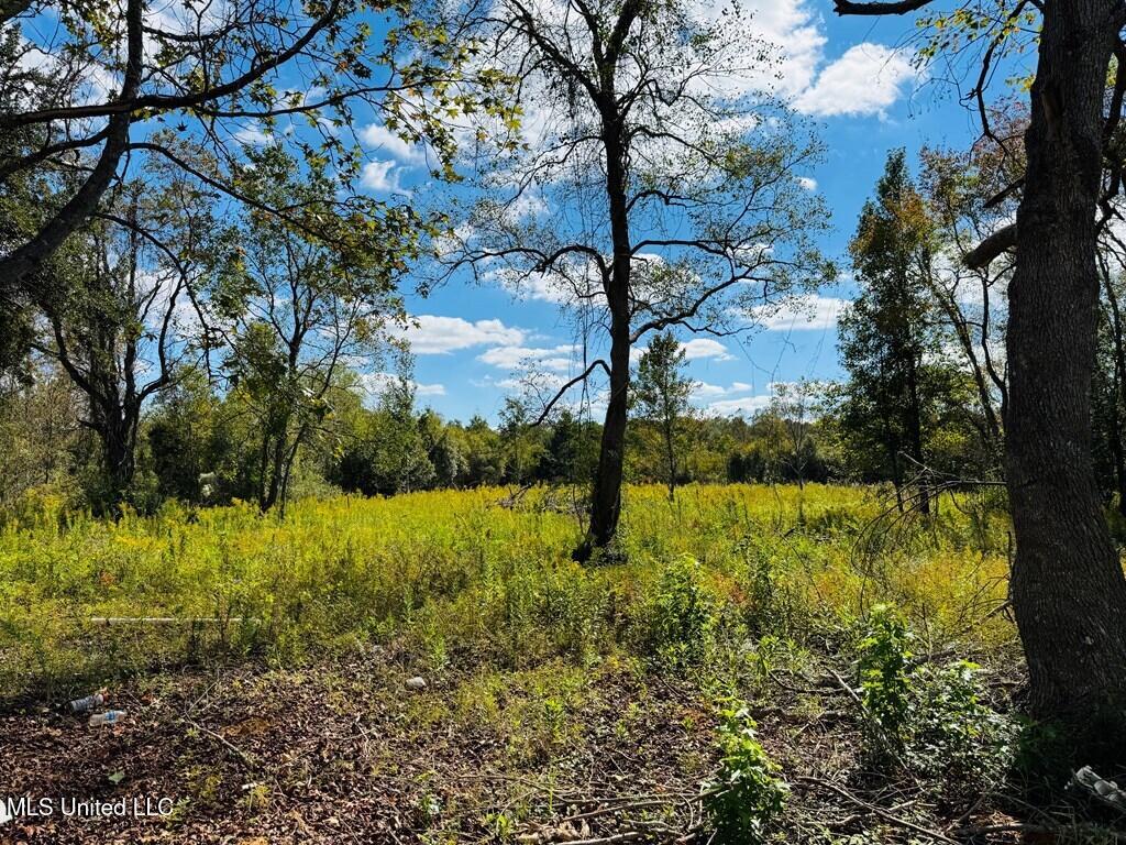 9 Rock Lane Carriere, MS 39426 - Photo 25 of 26 184065_27