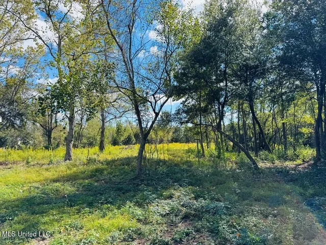 $150,000 | 9 Rock Lane, Carriere, MS 39426