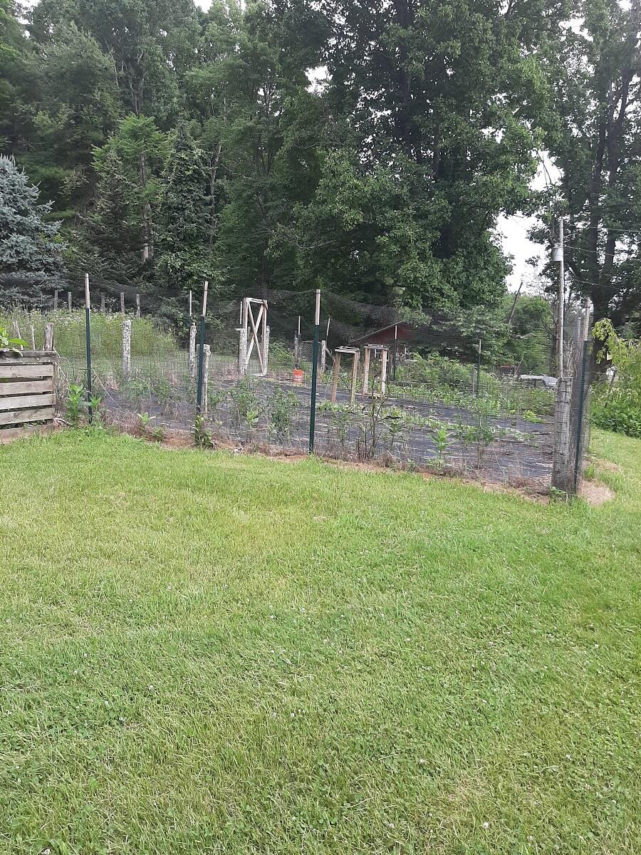 10468 Fortune Ridge Road Bent Mountain, VA 24059 - Photo 31 of 31 20210624_100140