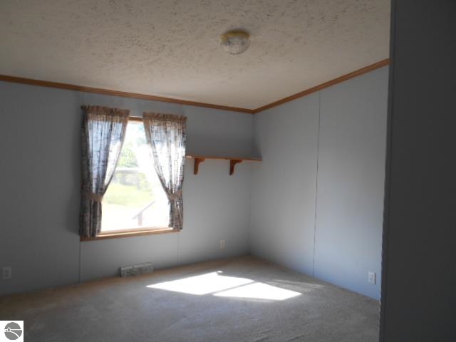 150 Colt Road Northeast Kalkaska, MI 49646 - Photo 12 of 24 1787741-11.JPG