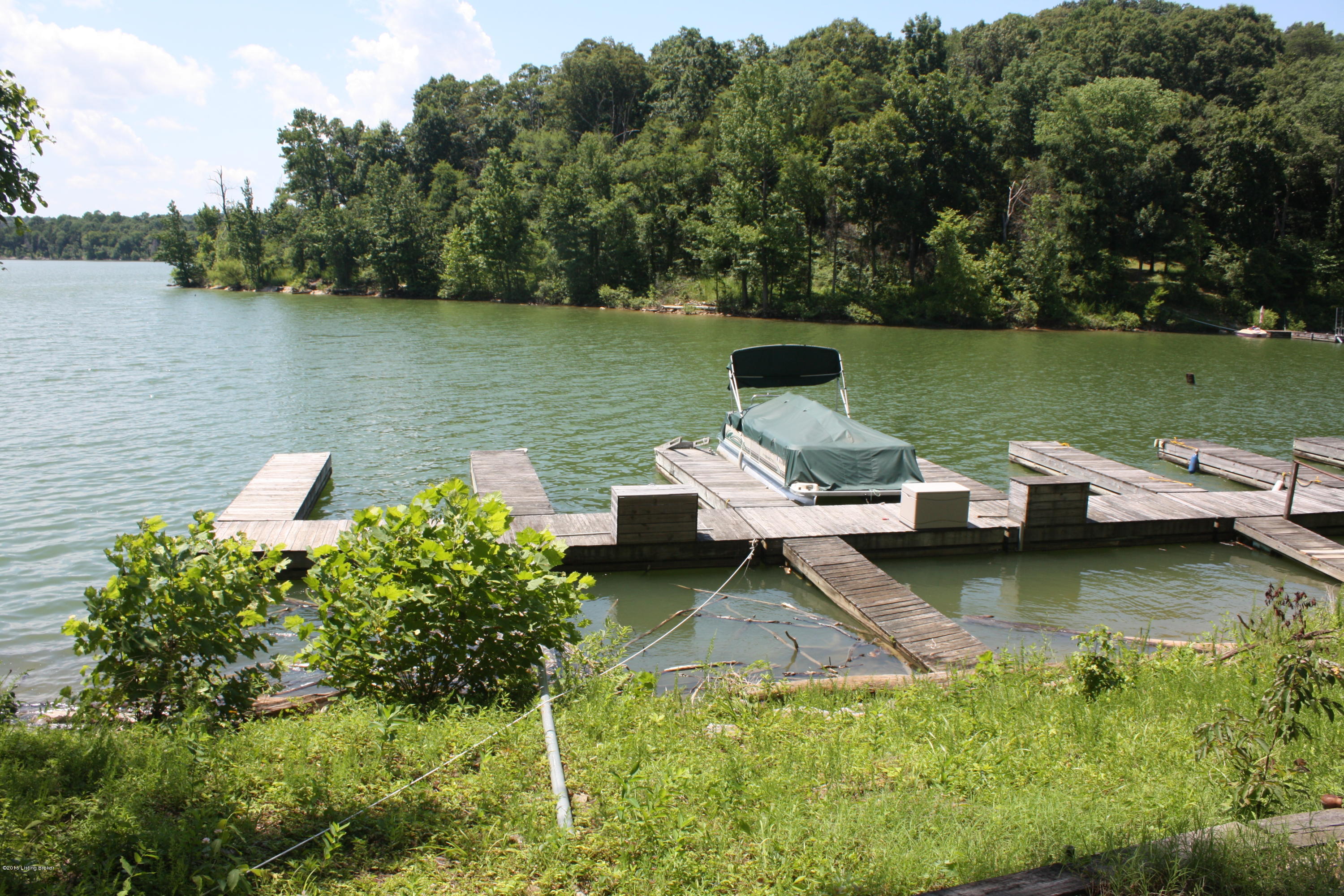 893 Dug Hill Road Clarkson, KY 42726 - Photo 4 of 49 dock2