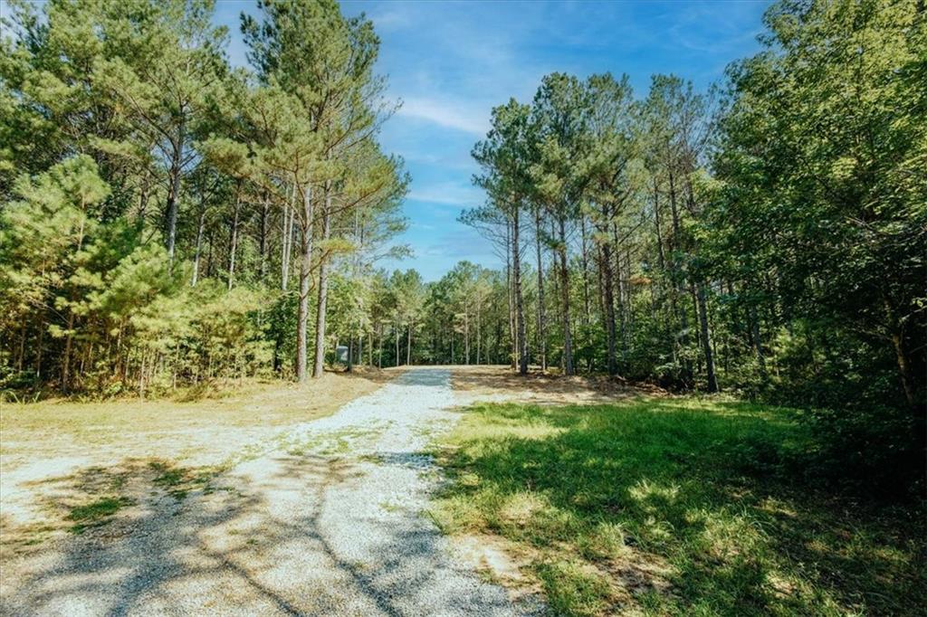 362 Pleasant Hill Road Buchanan, GA 30113 - Photo 53 of 59 Gallery Image 53