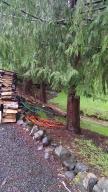 37430 Upper Nestucca Road Beaver, OR 97108 - Photo 19 of 20 Cut your Own Fuel