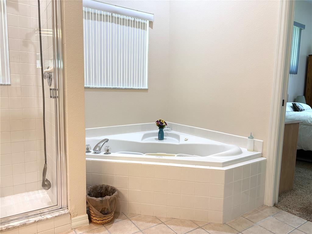 9738 Southwest 195th Circle Dunnellon, FL 34432 - Photo 23 of 59