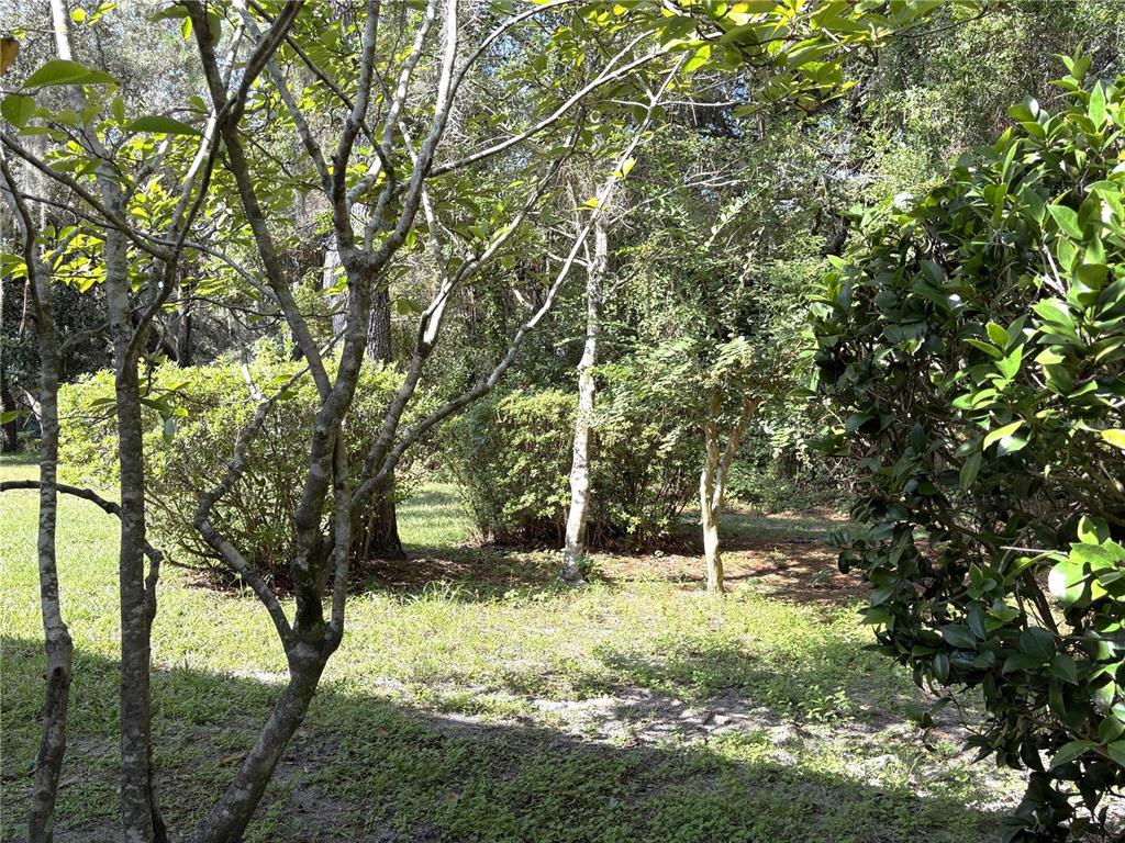 9738 Southwest 195th Circle Dunnellon, FL 34432 - Photo 41 of 59