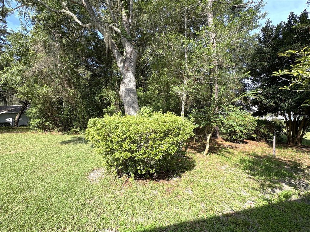 9738 Southwest 195th Circle Dunnellon, FL 34432 - Photo 43 of 59