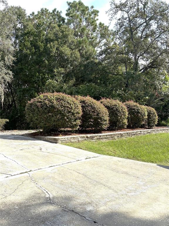 9738 Southwest 195th Circle Dunnellon, FL 34432 - Photo 46 of 59