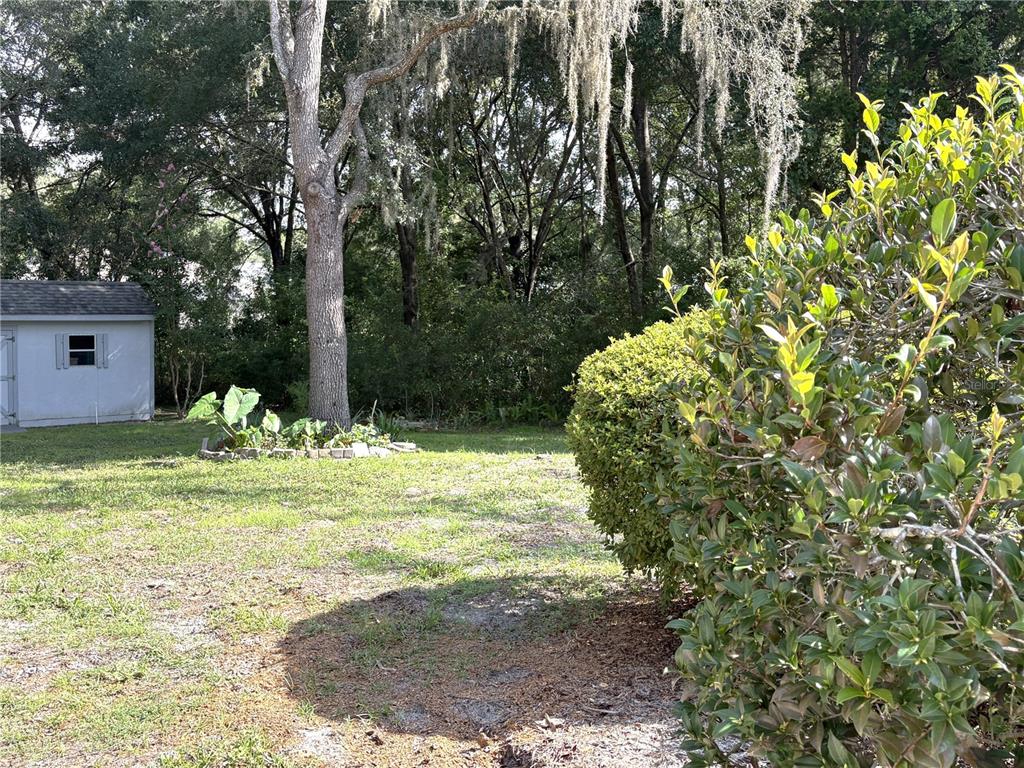 9738 Southwest 195th Circle Dunnellon, FL 34432 - Photo 47 of 59