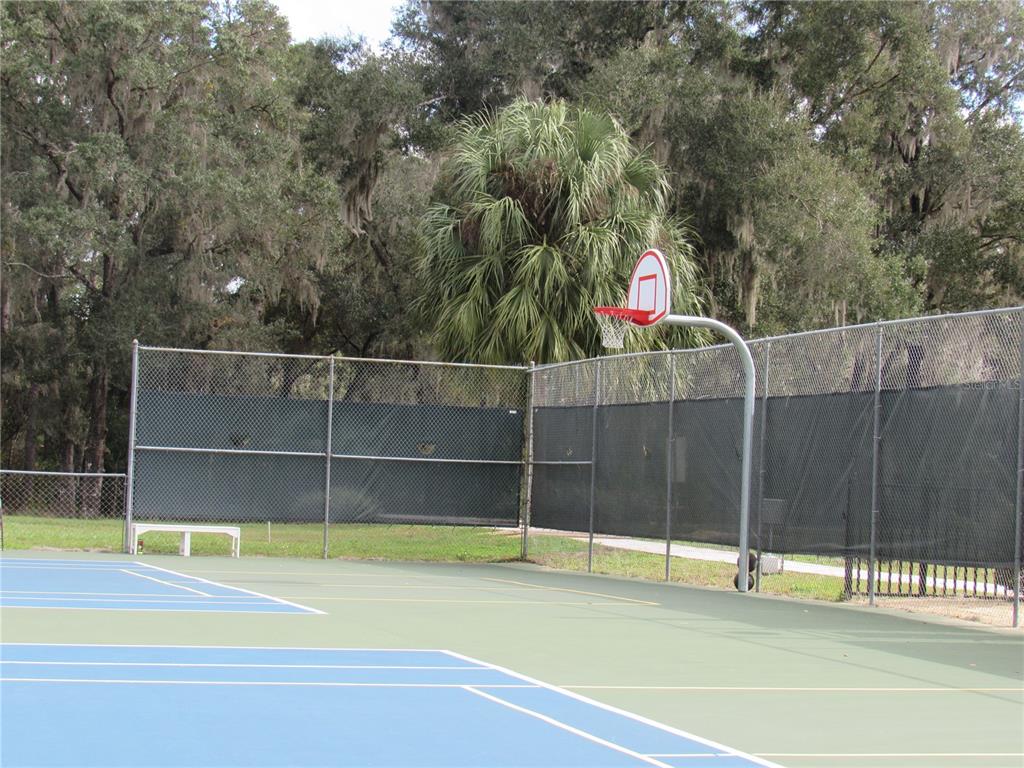 9738 Southwest 195th Circle Dunnellon, FL 34432 - Photo 57 of 59