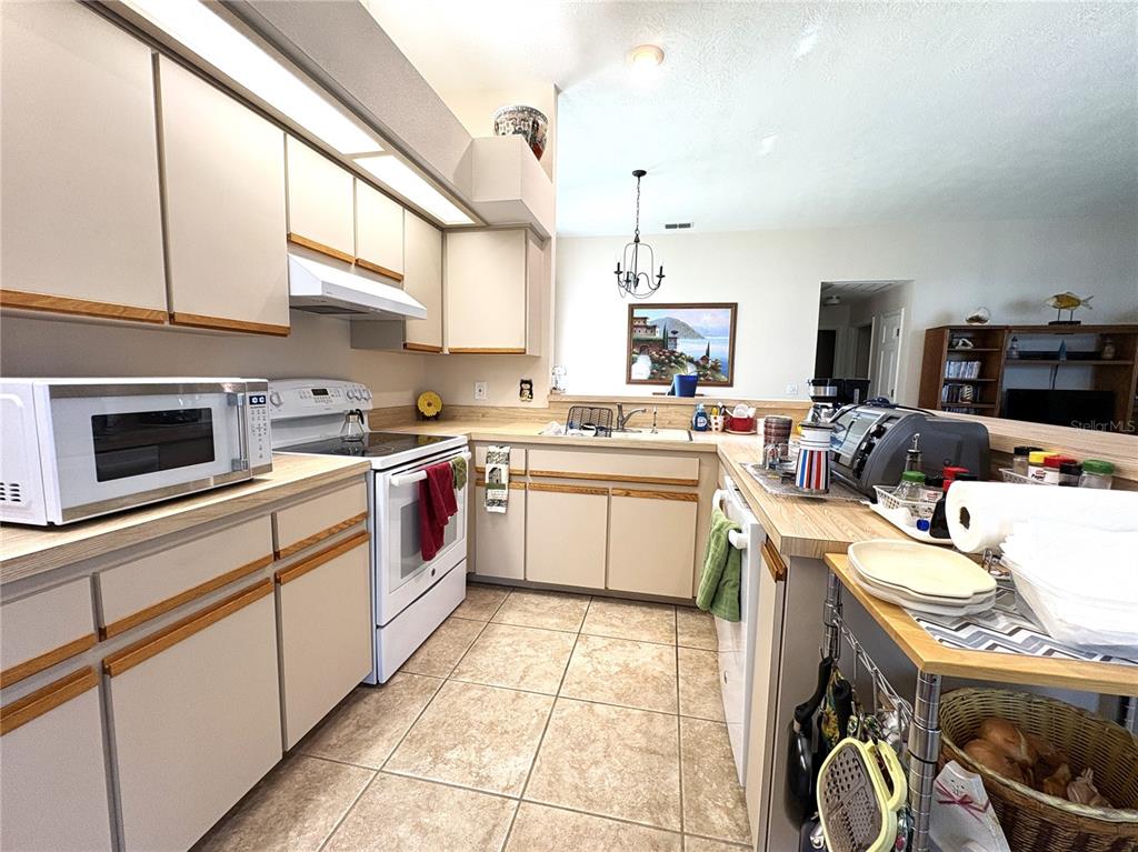 9738 Southwest 195th Circle Dunnellon, FL 34432 - Photo 9 of 59