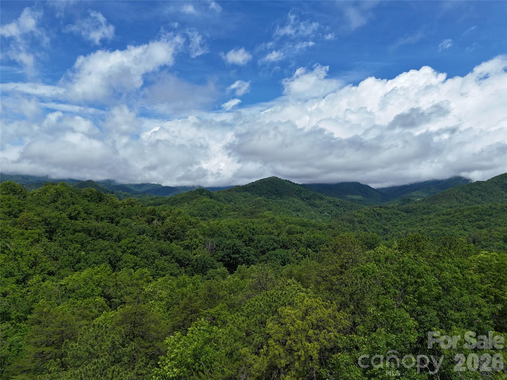 83 Shanty Town Road Old Fort, NC 28762 - Photo 1 of 16