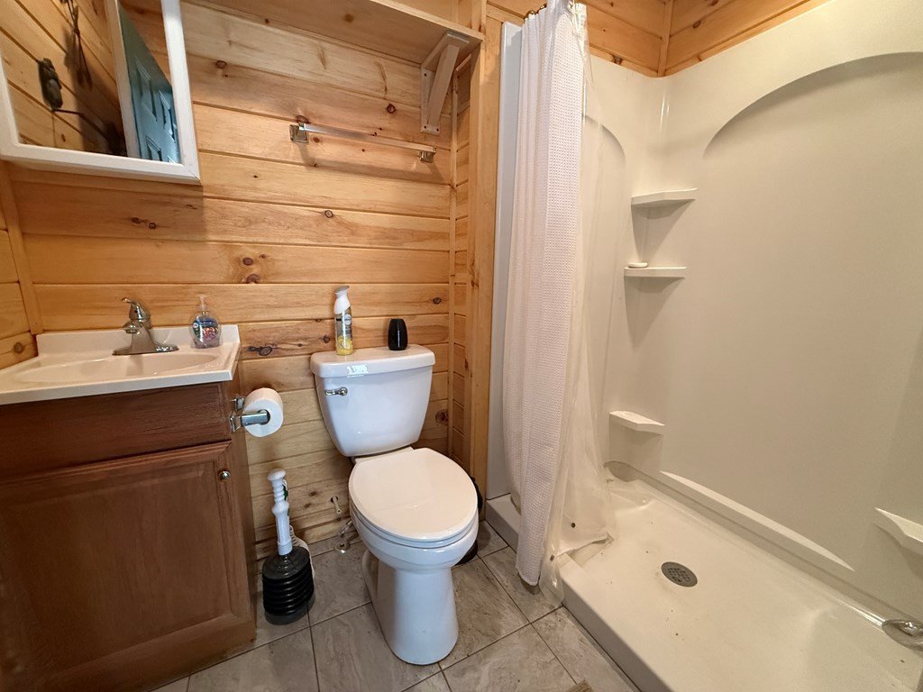 270 Marina Road Murphy, NC 28906 - Photo 57 of 69