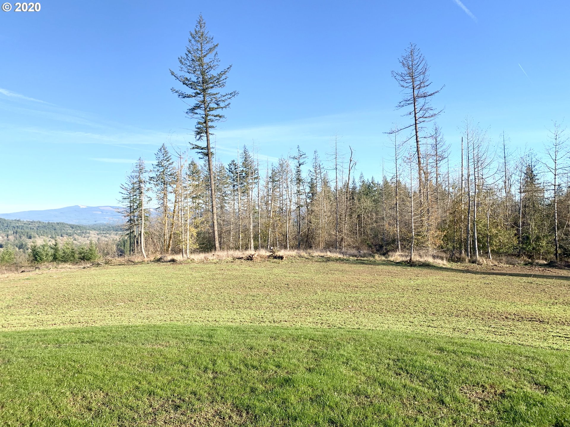 29300 South Marshall Road Mulino, OR 97042 - Photo 20 of 23 Gallery Image 20