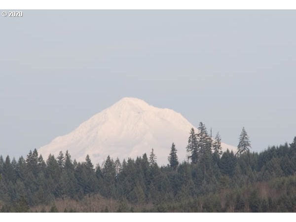 29300 South Marshall Road Mulino, OR 97042 - Photo 5 of 23 Gallery Image 5
