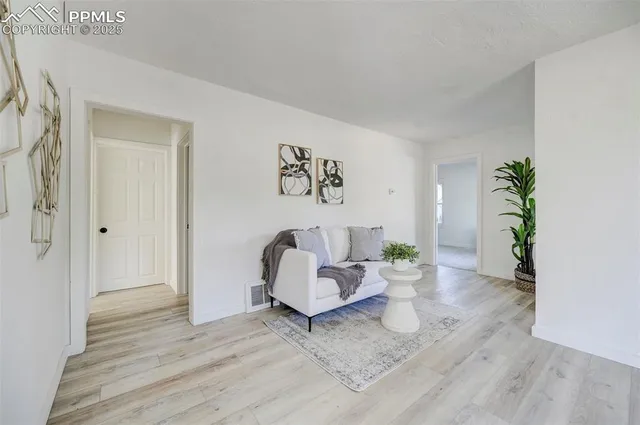 a living room with furniture and a potted plant