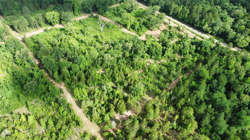 385 County Road 385 Tyler, TX 75708 - Photo 7 of 28