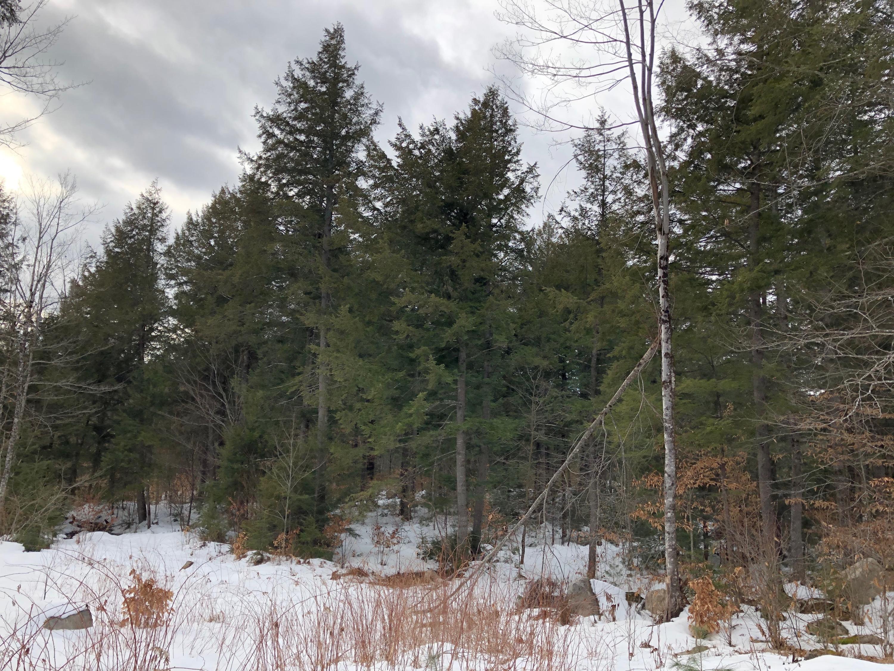 Lot 30 Portland Road Bridgton, ME 04009 - Photo 10 of 13 Photo Feb 03, 1 27 08 PM