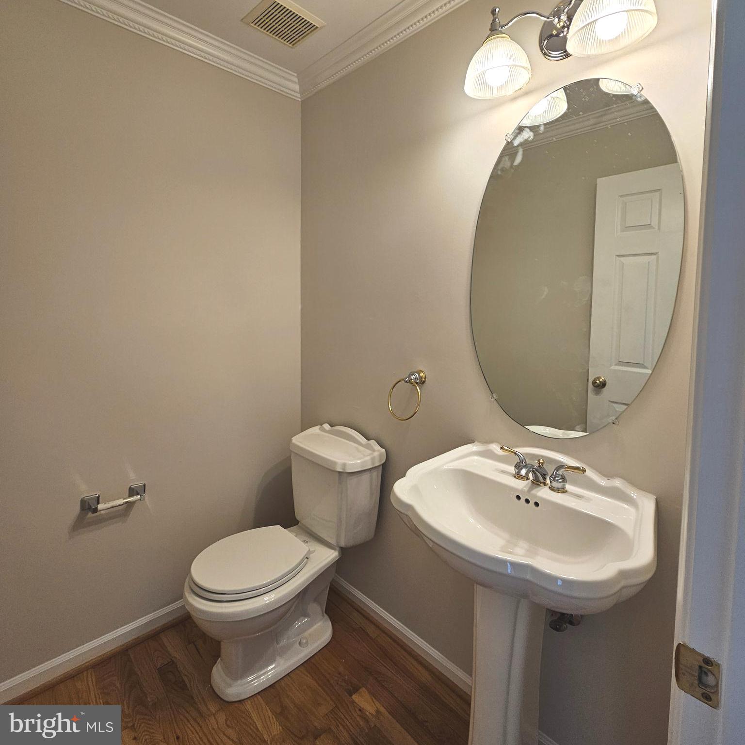 21674 Frame Square Broadlands, VA 20148 - Photo 15 of 43 a bathroom with a sink a mirror and toilet