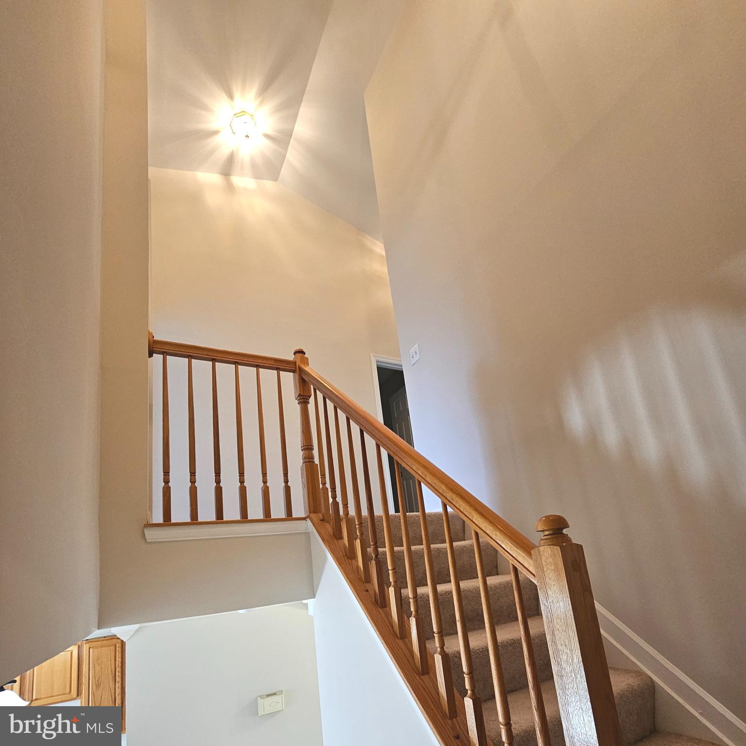 21674 Frame Square Broadlands, VA 20148 - Photo 24 of 43 a view of staircase with rug