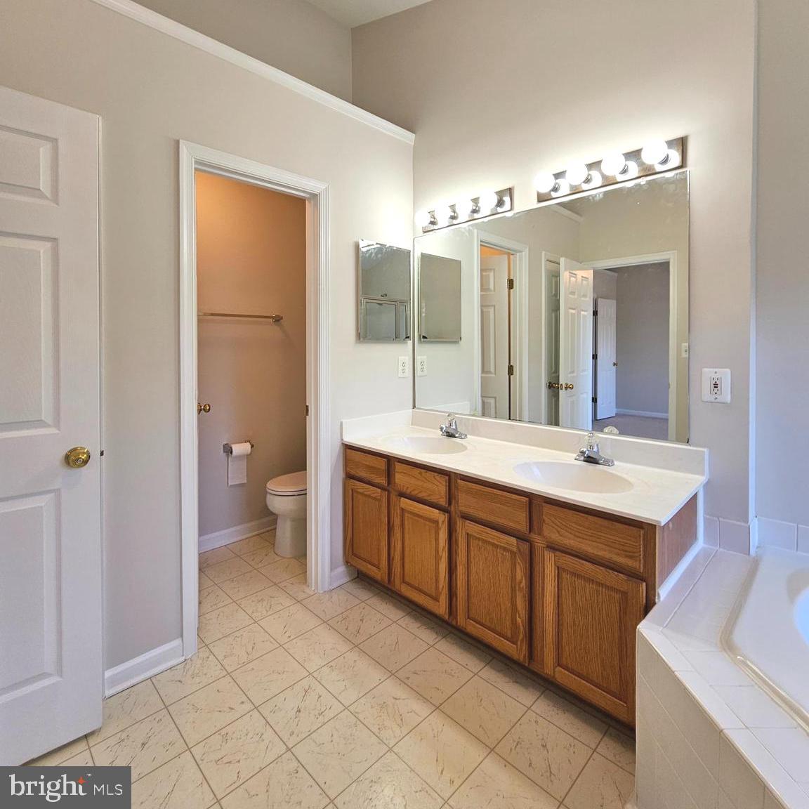 21674 Frame Square Broadlands, VA 20148 - Photo 29 of 43 a spacious bathroom with a double vanity sink mirror and toilet