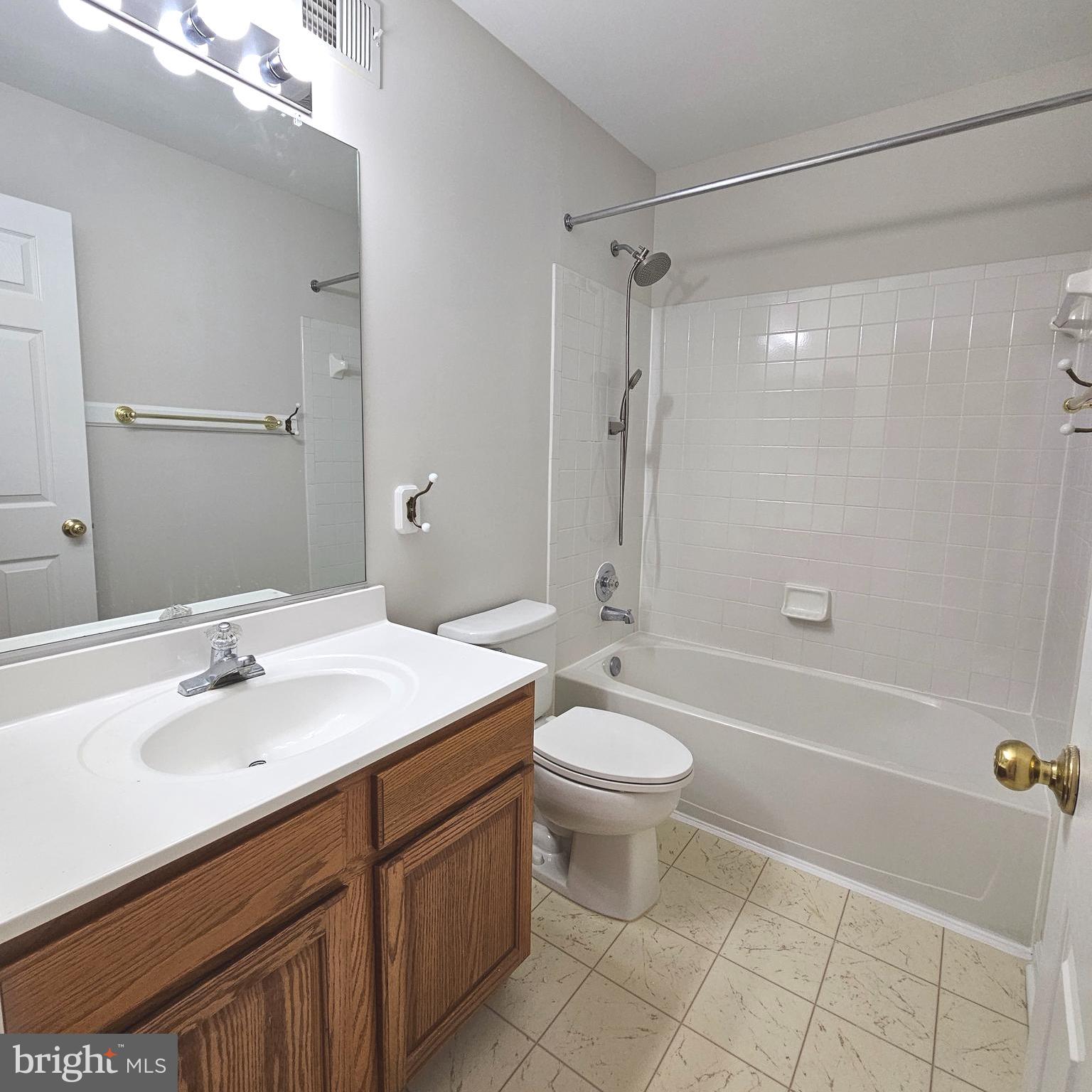 21674 Frame Square Broadlands, VA 20148 - Photo 31 of 43 a bathroom with a sink mirror toilet and bathtub
