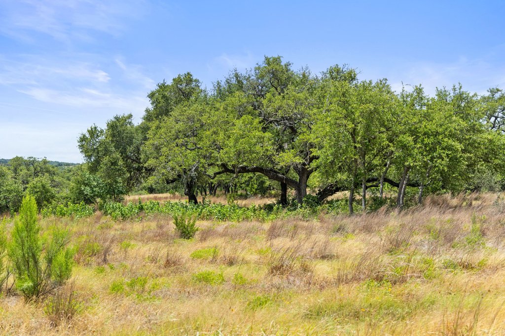 207 Verbena Road Johnson City, TX 78636 - Photo 4 of 40 Vast natural terrain featuring mature trees and sun-drenched fields, offering a tranquil setting.