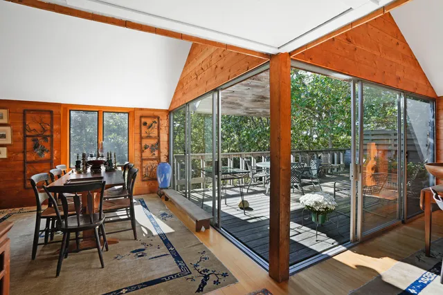 a view of a forest that has large trees