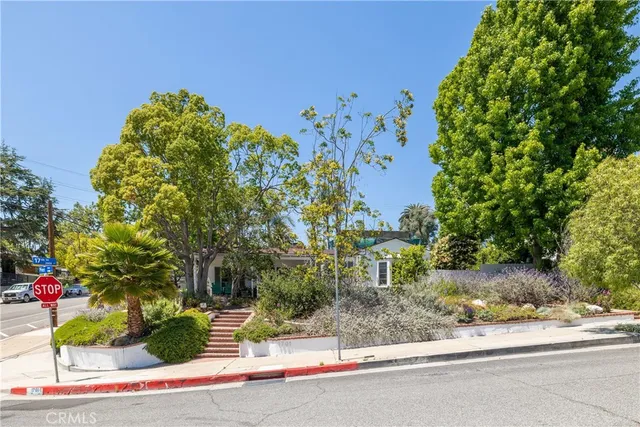 a plant that is sitting in front of a house