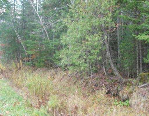 Lot 40 Phillips Road Glenburn, ME 04401 - Photo 11 of 12 Other.
