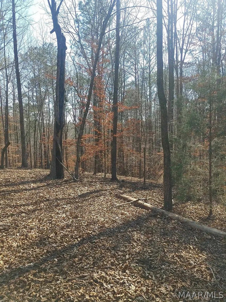 10 Yacht Club Road Titus, AL 36080 - Photo 10 of 18 Gallery Image 10