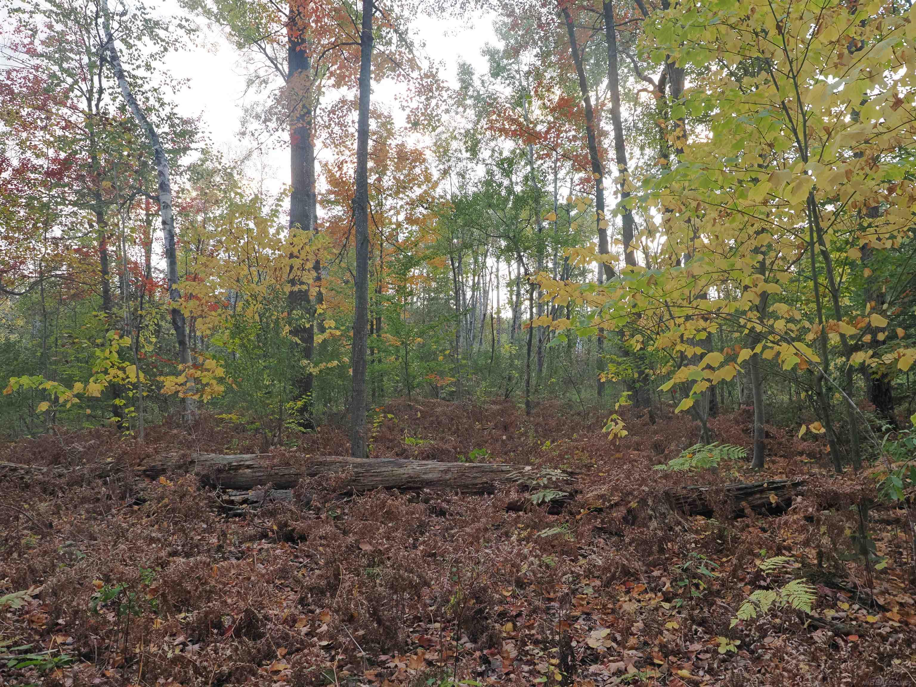 Xxx Tolan Road Spruce, MI 48762 - Photo 62 of 79