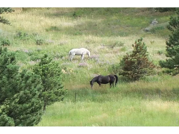 $2,750,000 | 95 Rowell Drive, Lyons, CO 80540