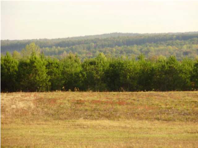 0 Stewart Road, Unit 2 Dunlap, TN 37327 - Photo 3 of 3 Additional Photo