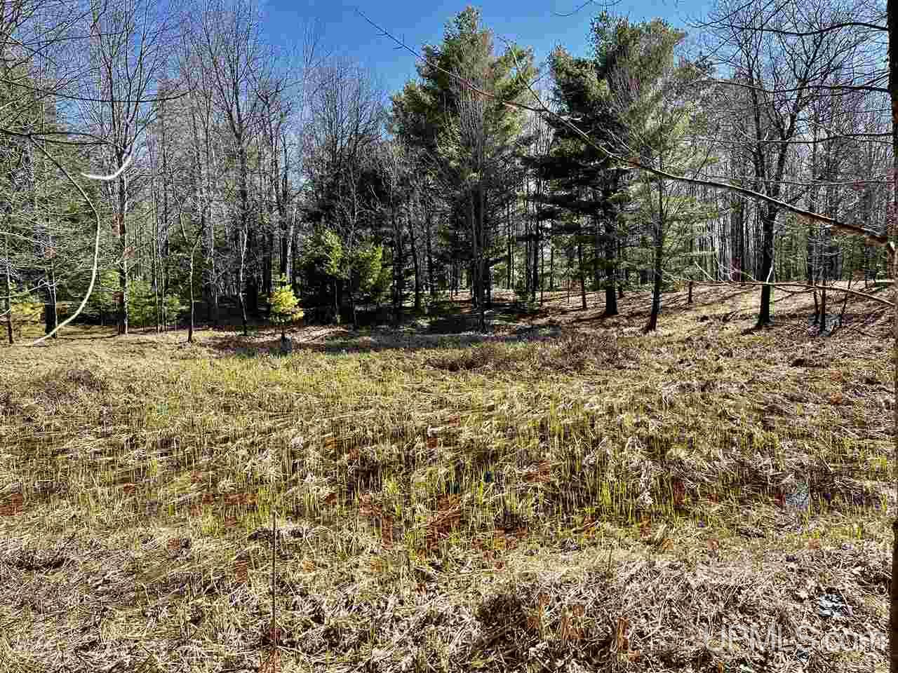 70 Old Highway 70 Road Minocqua, WI 54548 - Photo 5 of 11