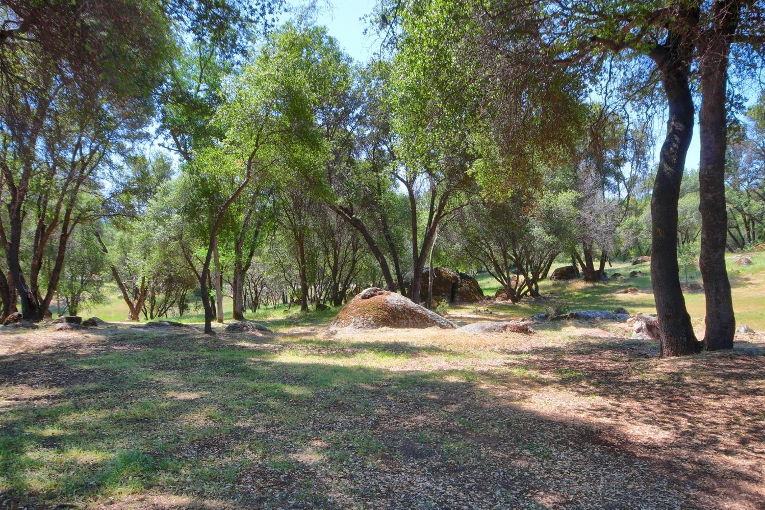 5420 Carleton Road Mariposa, CA 95338 - Photo 40 of 64 Gallery Image 40