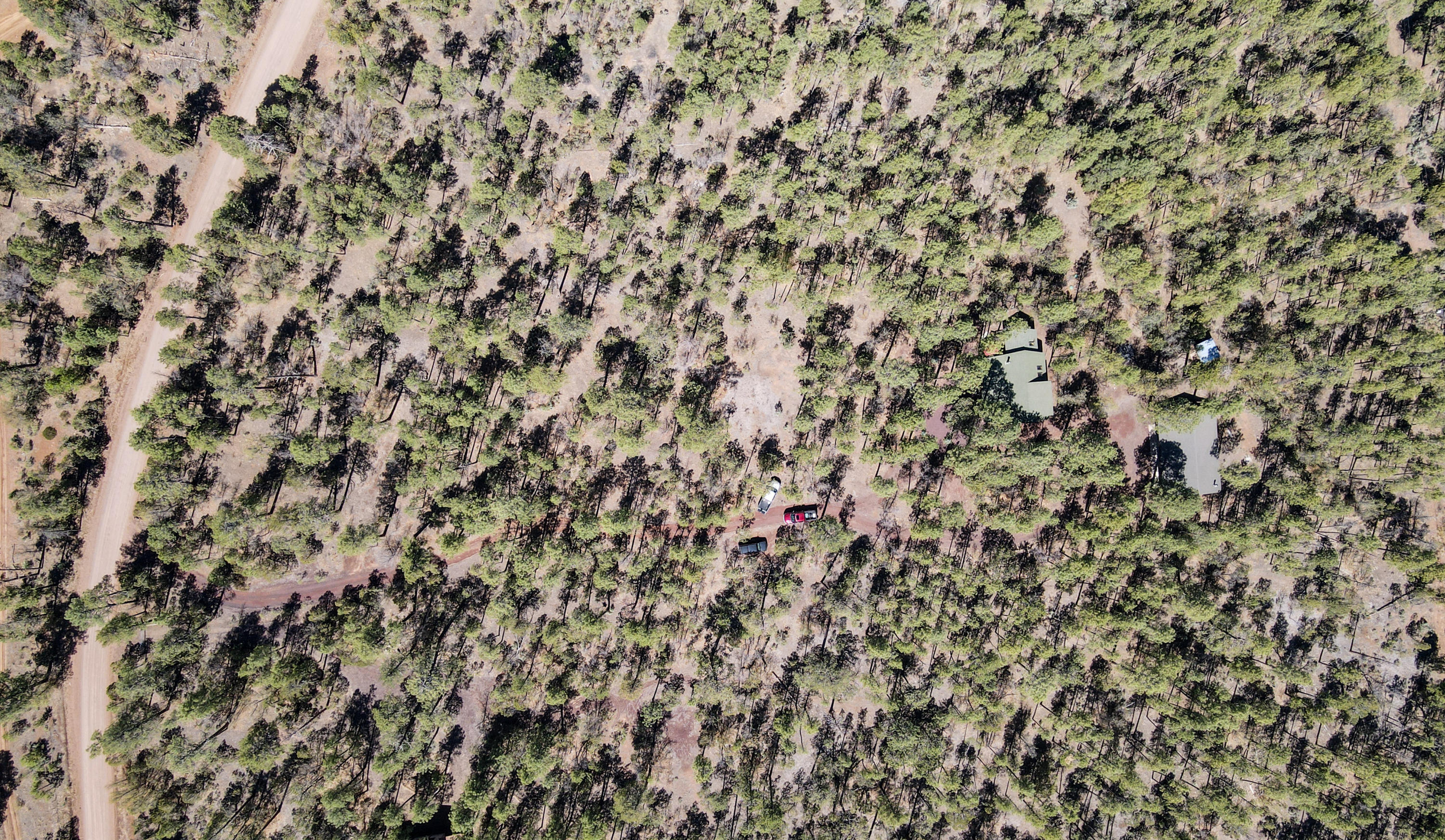 1280 West Rim Road Lakeside, AZ 85929 - Photo 34 of 36 DJI_0912
